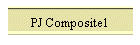 PJ Composite1