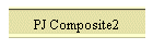 PJ Composite2